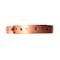 Thrifco Plumbing 10ft Copper Coated Hanger Strap 3/4 Inch x 10 ft 5436254 - alternate 3